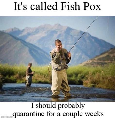 91 Hilarious Fishing Memes To make Your Day.